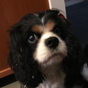 Meet your Posher, Mary